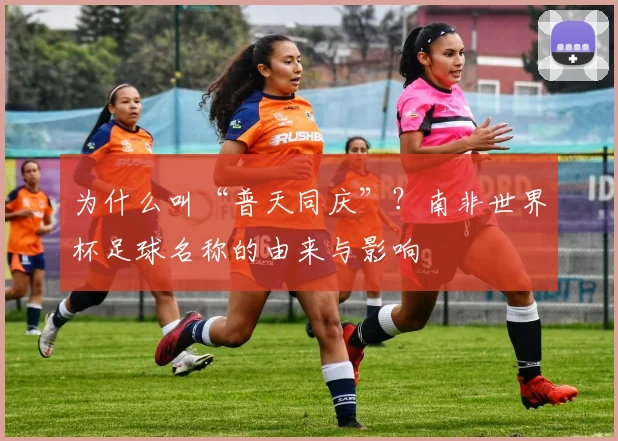 为什么叫“普天同庆”？南非世界杯足球名称的由来与影响