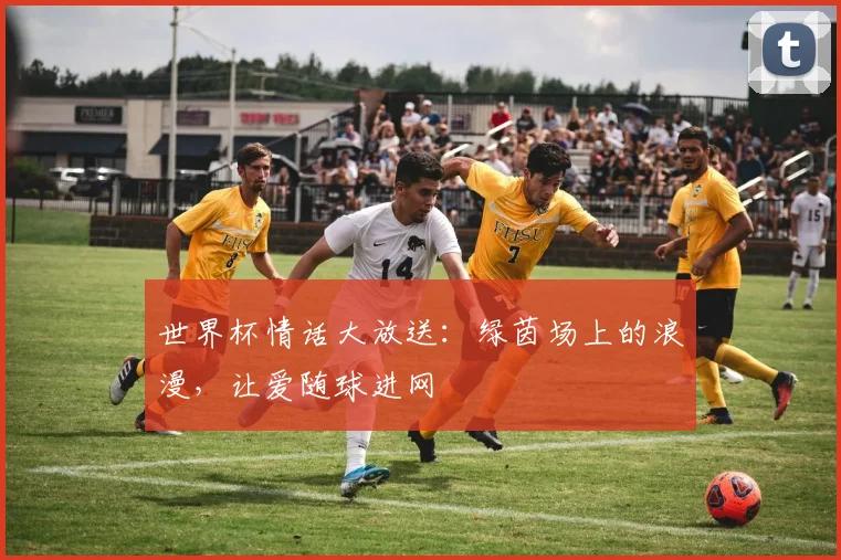 世界杯情话大放送：绿茵场上的浪漫，让爱随球进网