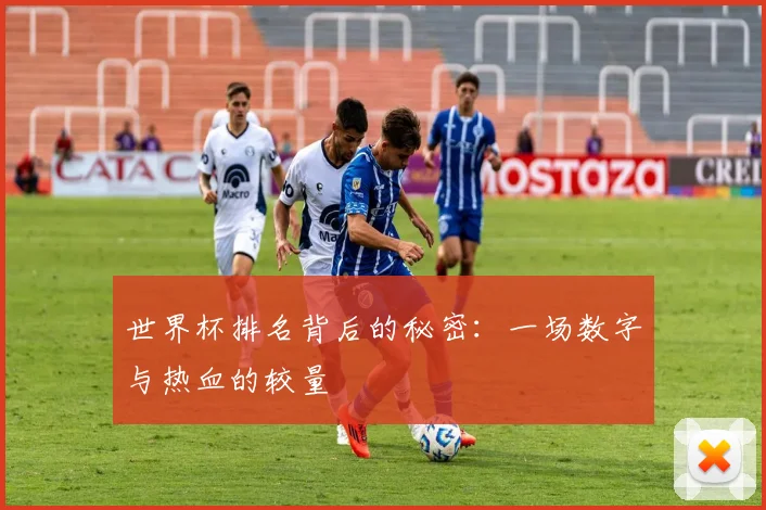 世界杯排名背后的秘密：一场数字与热血的较量