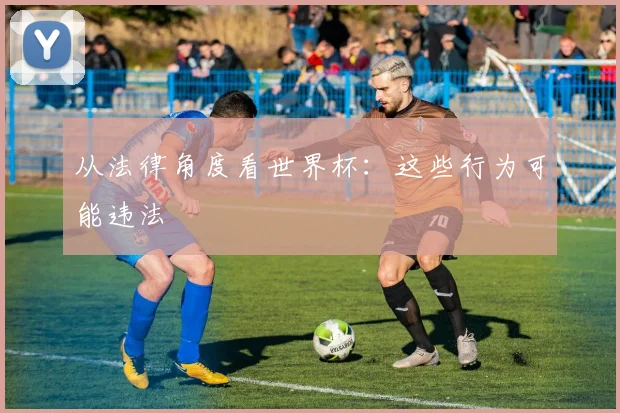 从法律角度看世界杯:这些行为可能违法