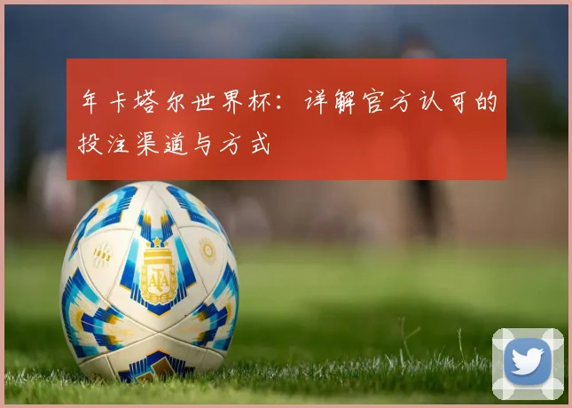 年卡塔尔世界杯：详解官方认可的投注渠道与方式