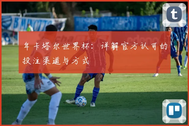 年卡塔尔世界杯：详解官方认可的投注渠道与方式
