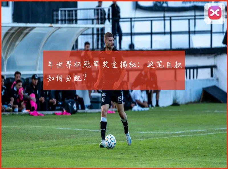年世界杯冠军奖金揭秘:这笔巨款如何分配?