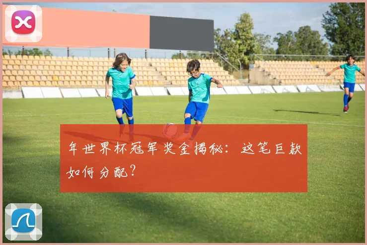 年世界杯冠军奖金揭秘:这笔巨款如何分配?