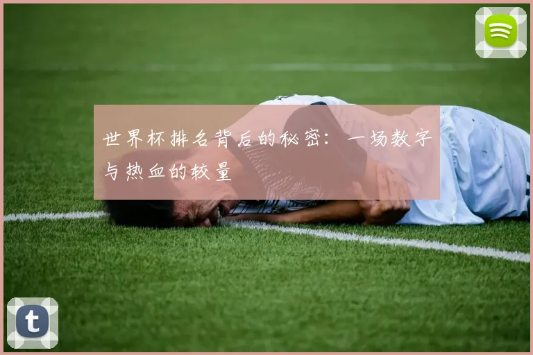 世界杯排名背后的秘密：一场数字与热血的较量