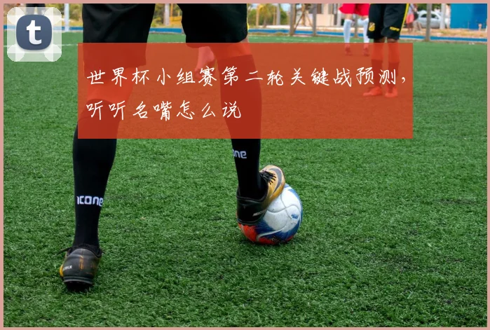 世界杯小组赛第二轮关键战预测,听听名嘴怎么说